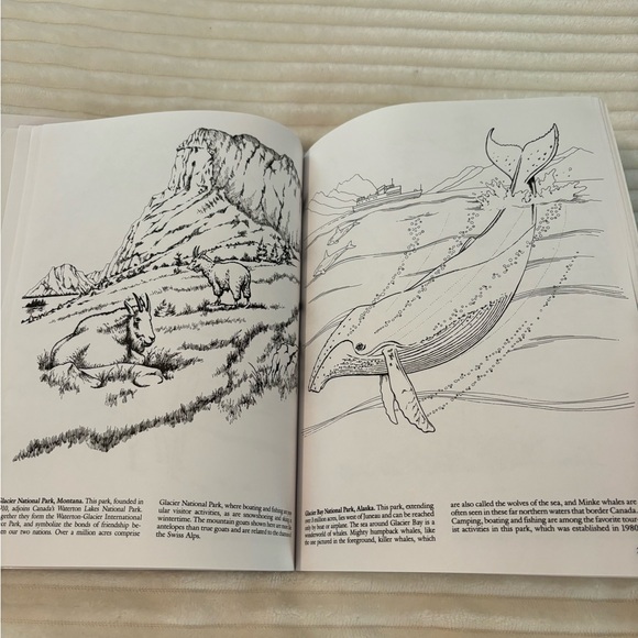 Set of 2 Vintage Coloring Books from Dover COLORING Book 1990 1993 Unused - Picture 5 of 14